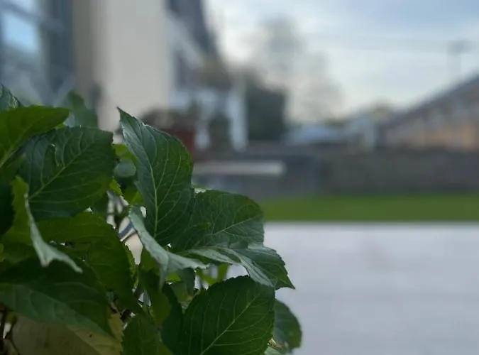 Apartament Atic Casa Pomar